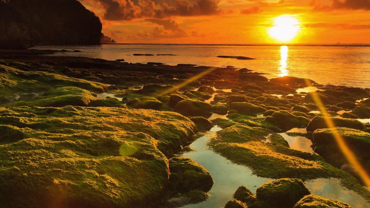 Bale Bingin Beachfront Stay Uluwatu Exteriör bild